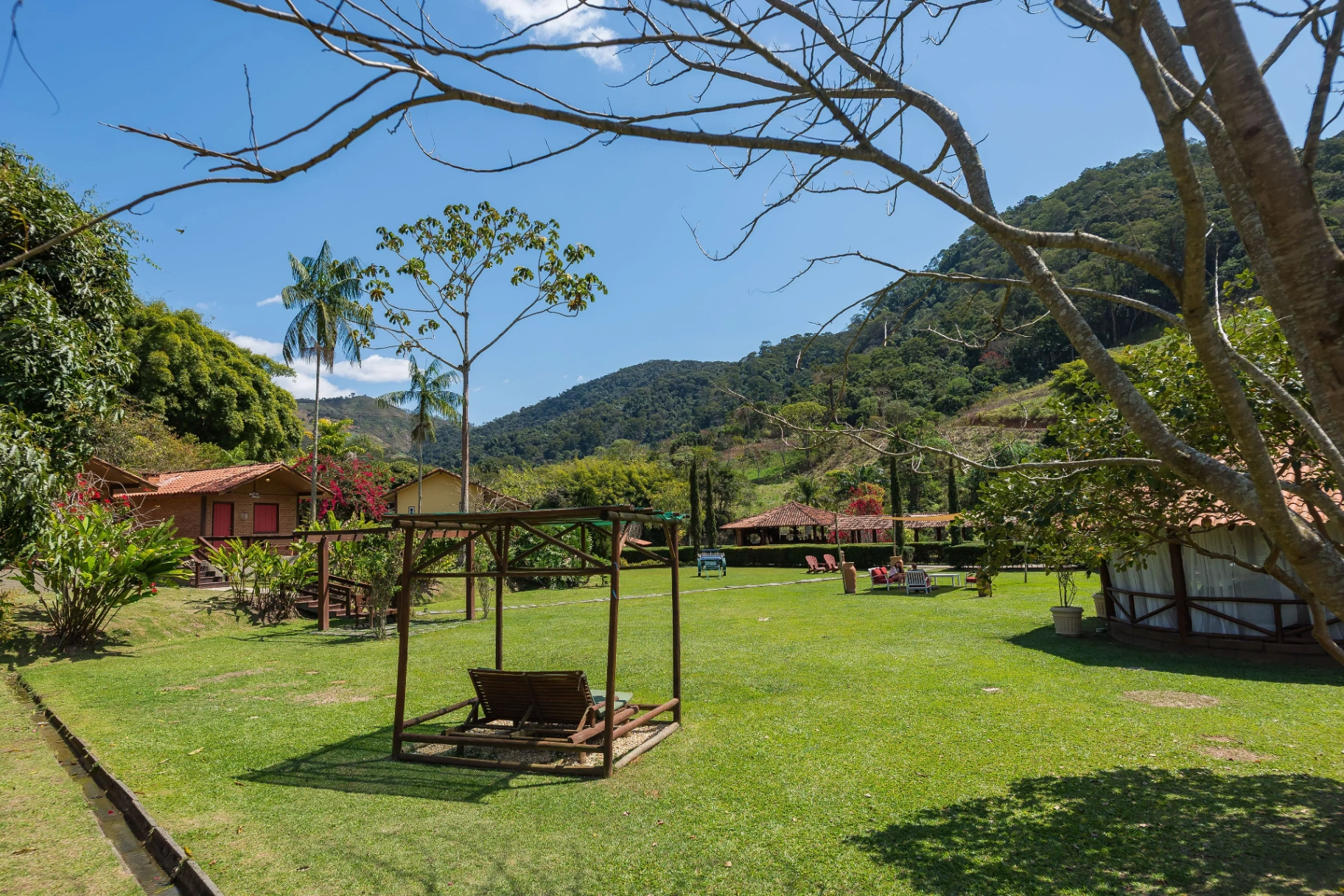 Cavalos pastando livremente na fazenda