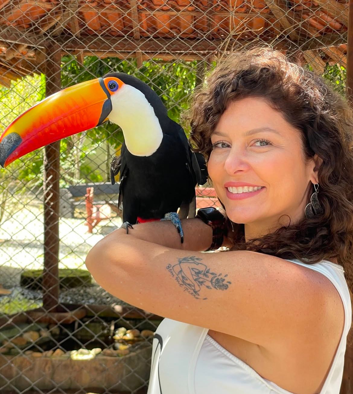 Encontro com tucano na fazendinha