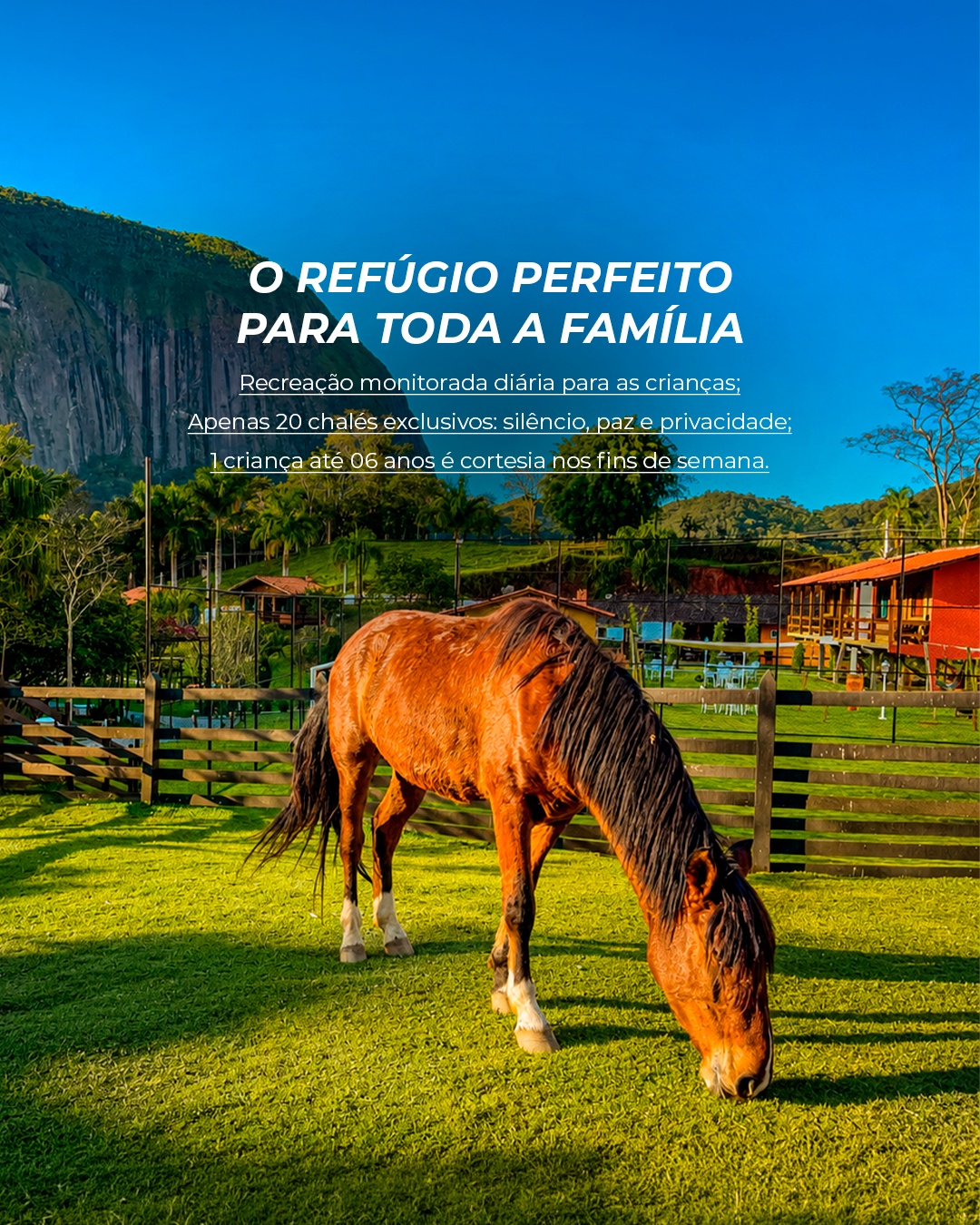 Cartaz da refúgio em família do Minha Glória