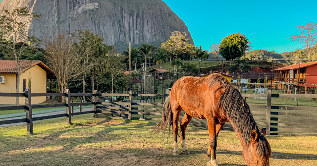 Chalés em meio à natureza